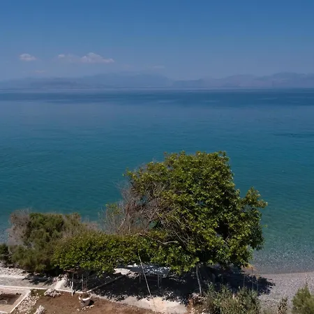 Sea Breeze *