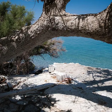 Apartment Sea Breeze *