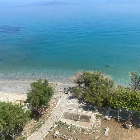 Sea Breeze *